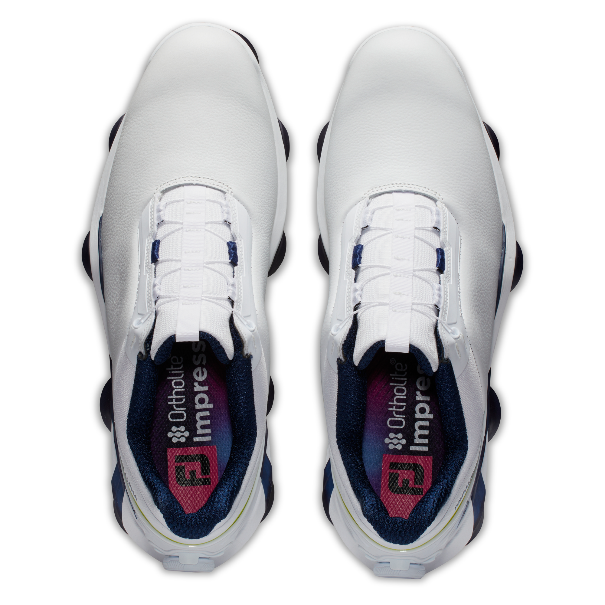 투어 알파 보아